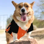Custom Black and Orange Classic Style Dog Jersey – Personalized with Name and Number