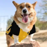 Custom Black and Yellow Classic Style Dog Jersey – Personalized with Name and Number