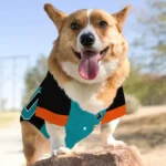 Custom Black, Aqua and Orange Classic Style Dog Jersey – Personalized with Name and Number