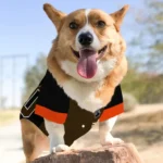 Custom Black, Brown and Orange Classic Style Dog Jersey – Personalized with Name and Number