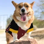 Custom Black, Burgundy and Yellow Classic Style Dog Jersey – Personalized with Name and Number