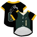 Custom Black, Green and Yellow Classic Style Dog Jersey – Personalized with Name and Number