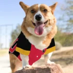 Custom Black, Vivid Red and Yellow Classic Style Dog Jersey – Personalized with Name and Number