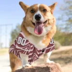 Custom Burgundy Wavy Energy Dog Jersey – Personalized with Name and Number