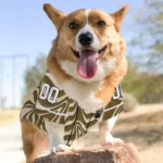 Custom Gold Wavy Energy Dog Jersey – Personalized with Name and Number