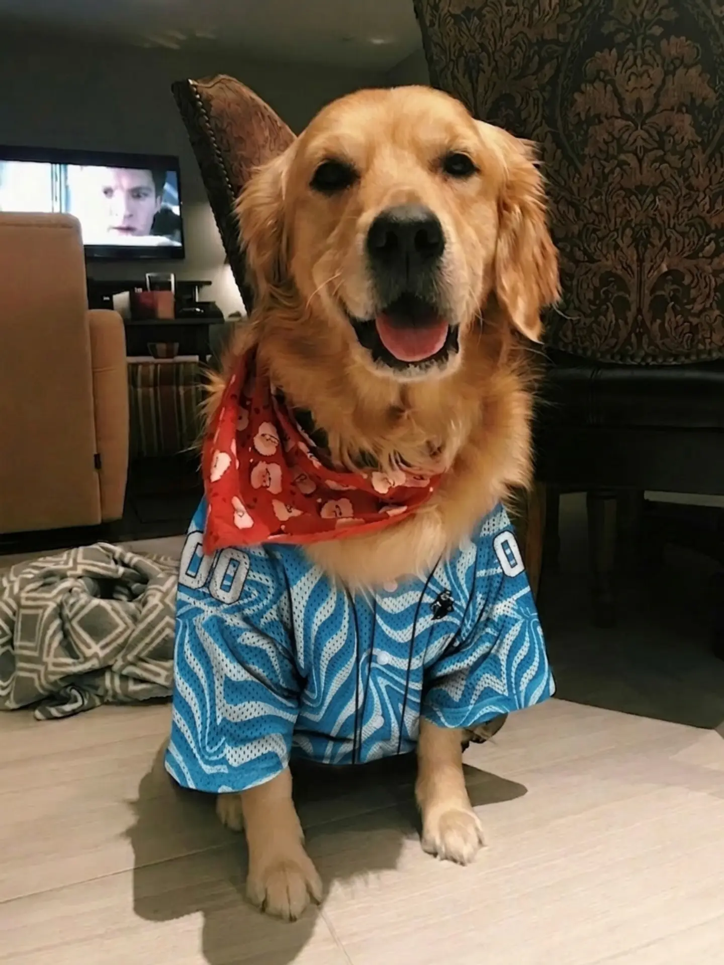 golden with sports jersey
