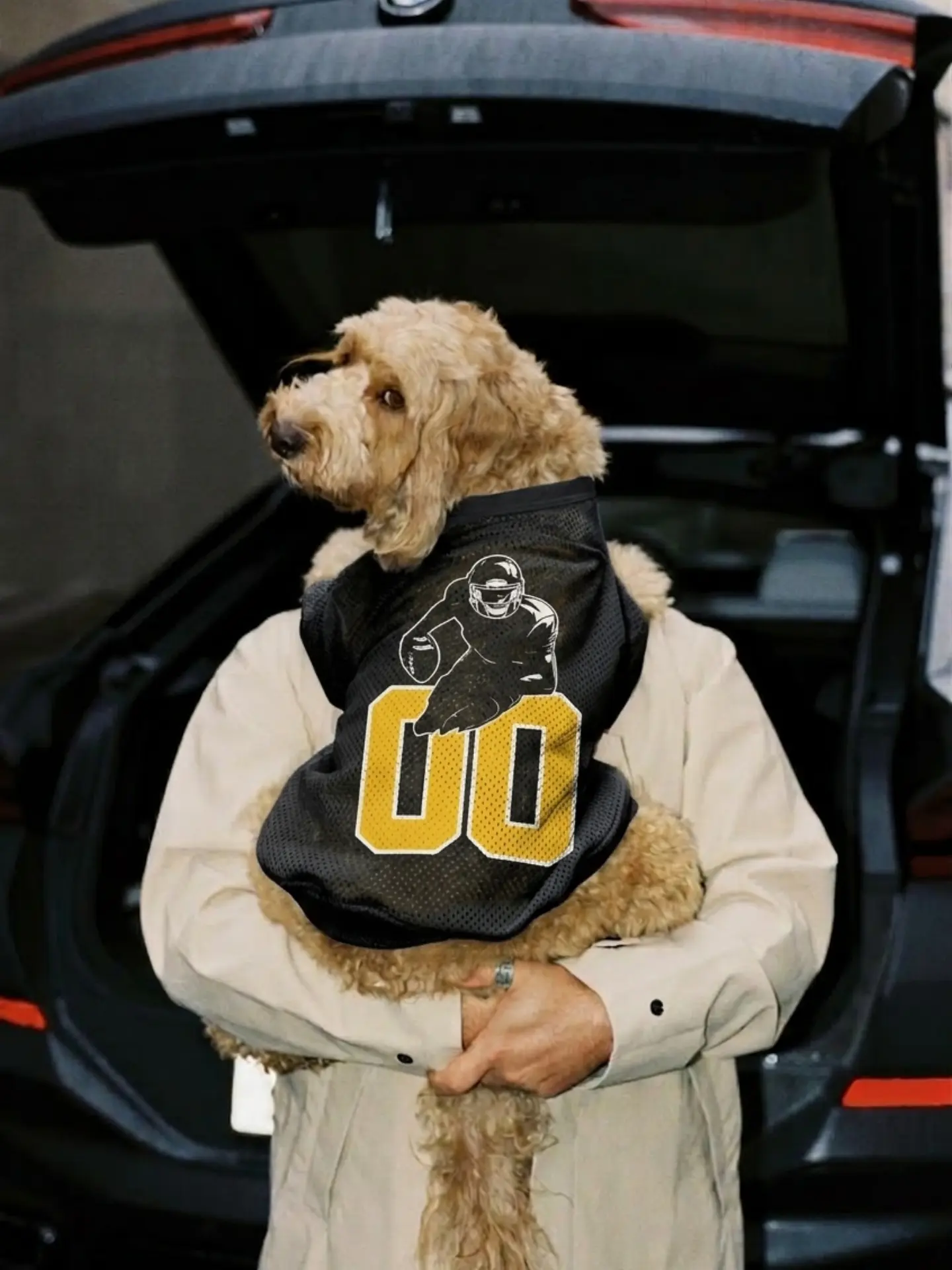 cocker wearing mesh dog jersey