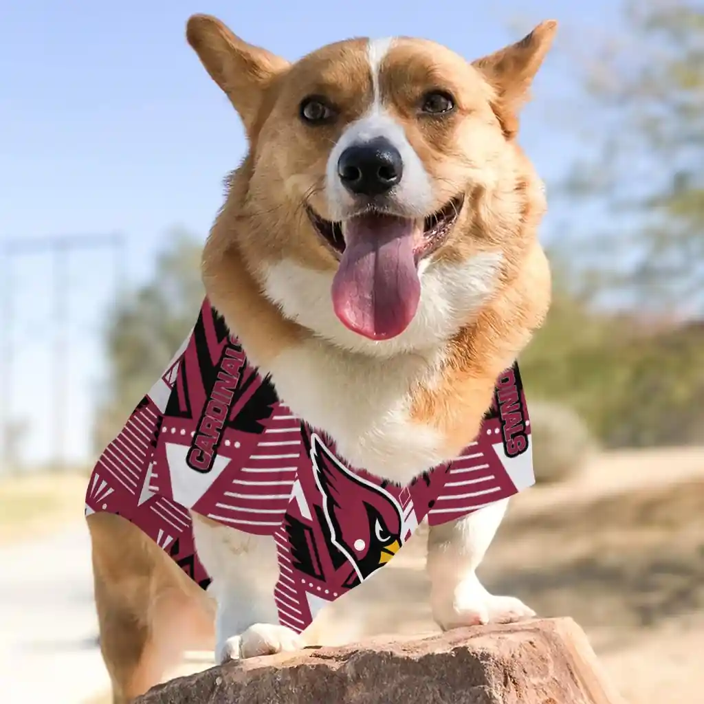 custom-arizona-cardinals-arrowhead-layers-red-pet-jersey-top-rated.webp