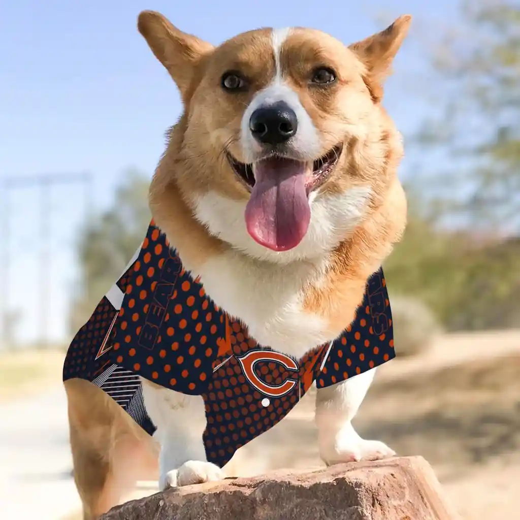 custom-chicago-bears-chevron-polka-blue-pet-jersey-top-rated.webp
