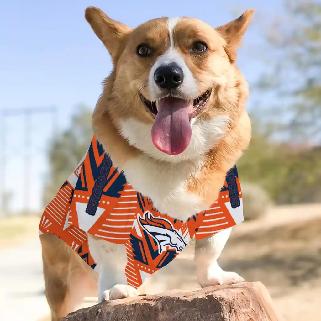 custom-denver-broncos-arrowhead-layers-orange-pet-jersey-top-rated.webp