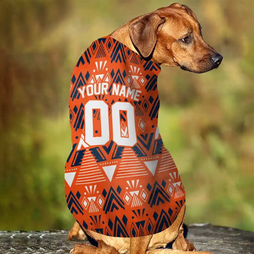 custom-denver-broncos-arrowhead-layers-orange-pet-jersey-trendy.webp