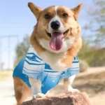 custom-detroit-lions-geometric-burst-blue-white-pet-jersey-best-selling.webp