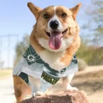 custom-green-bay-packers-hexagon-burst-green-white-pet-jersey-best-selling.webp