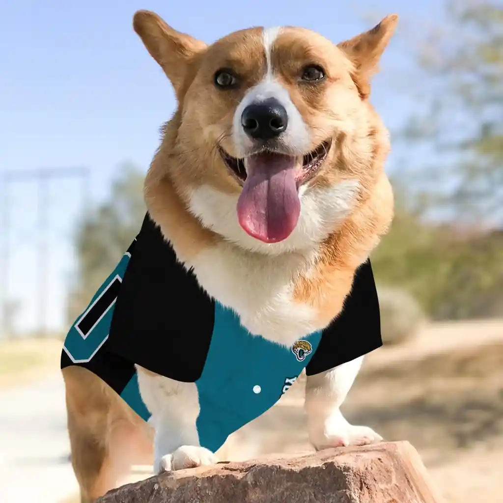 custom-jacksonville-jaguars-tail-hem-teal-black-pet-jersey-top-rated.webp