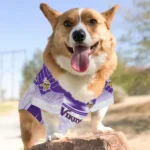 custom-minnesota-vikings-hexagon-burst-purple-white-pet-jersey-best-selling.webp