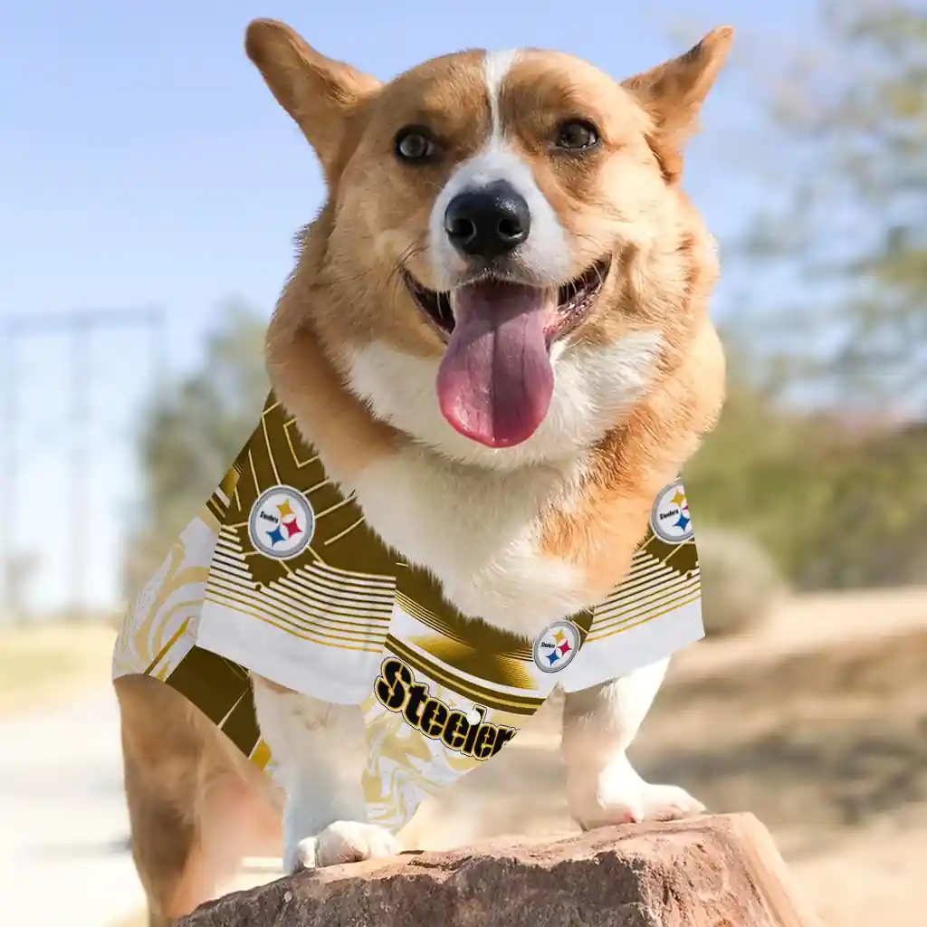 custom-pittsburgh-steelers-hexagon-burst-gold-white-pet-jersey-top-rated.webp