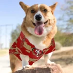 custom-san-francisco-49ers-lightning-streaks-red-pet-jersey-best-selling.webp