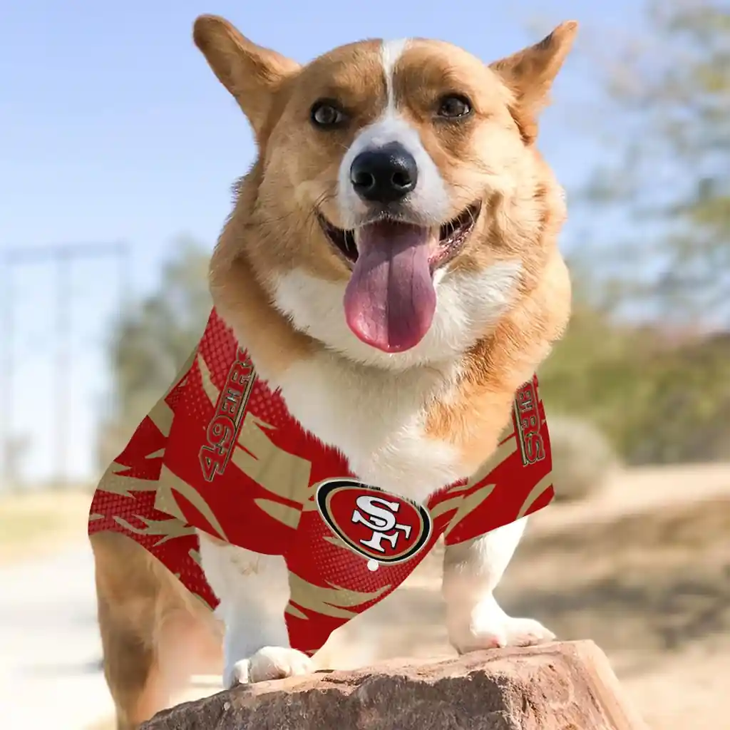 custom-san-francisco-49ers-lightning-streaks-red-pet-jersey-top-rated.webp