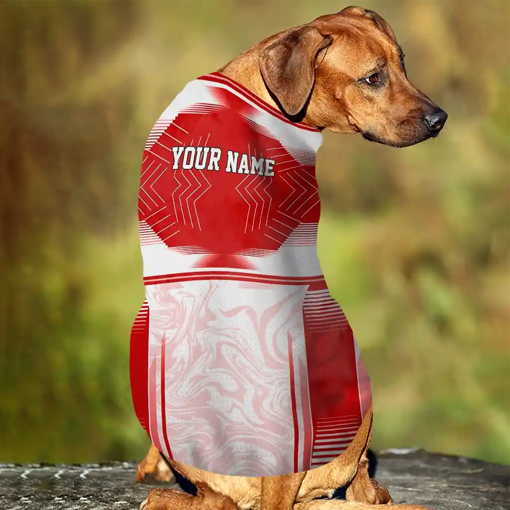 custom-tampa-bay-buccaneers-hexagon-burst-red-white-pet-jersey-trendy.webp
