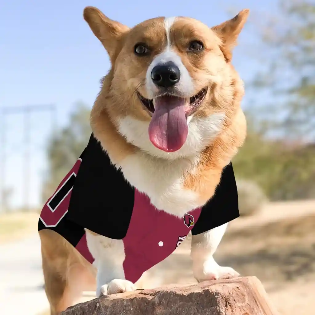 customized-arizona-cardinals-tail-hem-red-black-pet-jersey-top-rated.webp