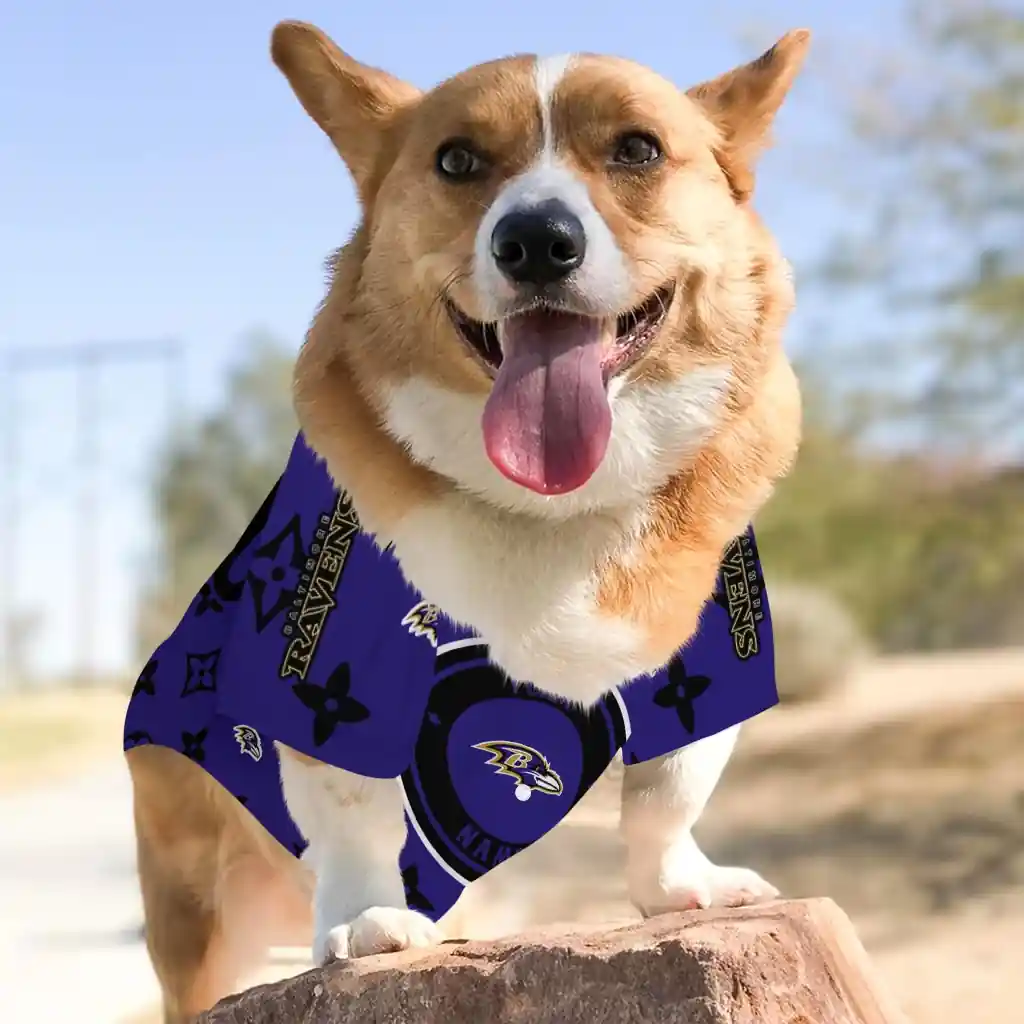 customized-baltimore-ravens-monogram-classic-purple-pet-jersey-top-rated.webp