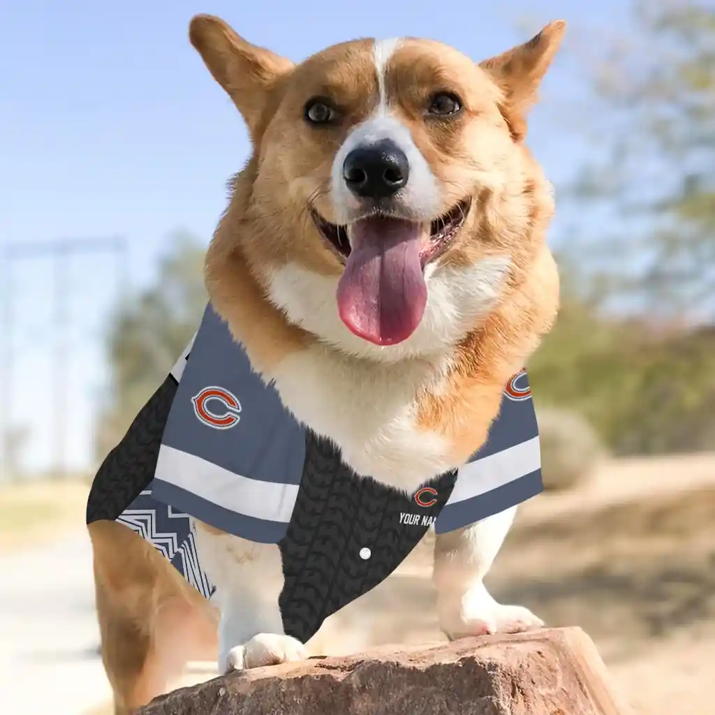 customized-chicago-bears-chevron-zigzag-blue-black-pet-jersey-top-rated.webp