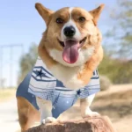 customized-dallas-cowboys-geometric-burst-blue-white-pet-jersey-best-selling.webp