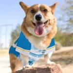 customized-los-angeles-chargers-big-diamond-stripe-blue-white-pet-jersey-best-selling.webp