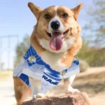 customized-los-angeles-rams-hexagon-burst-blue-white-pet-jersey-best-selling.webp