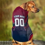 customized-new-england-patriots-chevron-polka-blue-pet-jersey-best-selling.webp