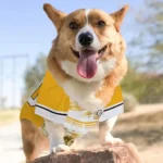 customized-pittsburgh-steelers-big-diamond-stripe-gold-white-pet-jersey-best-selling.webp