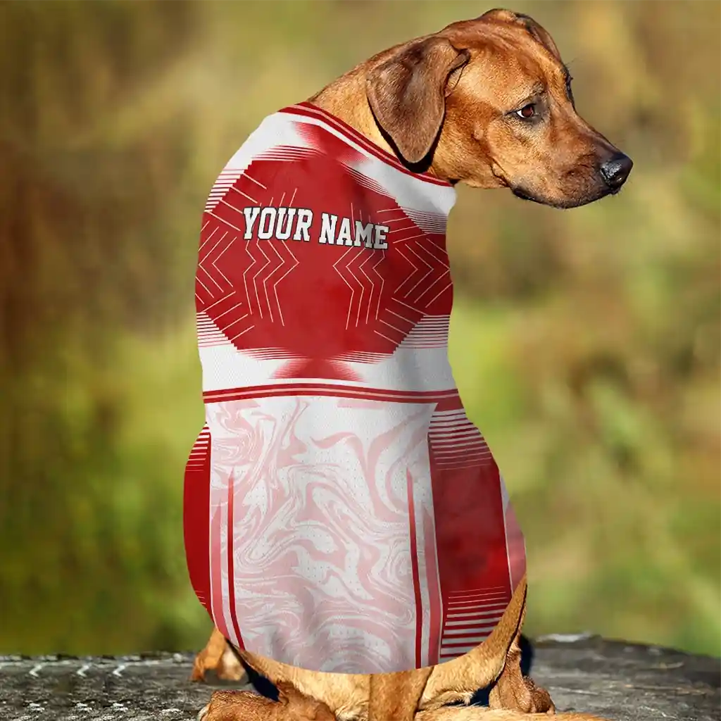 customized-san-francisco-49ers-hexagon-burst-red-white-pet-jersey-trendy.webp