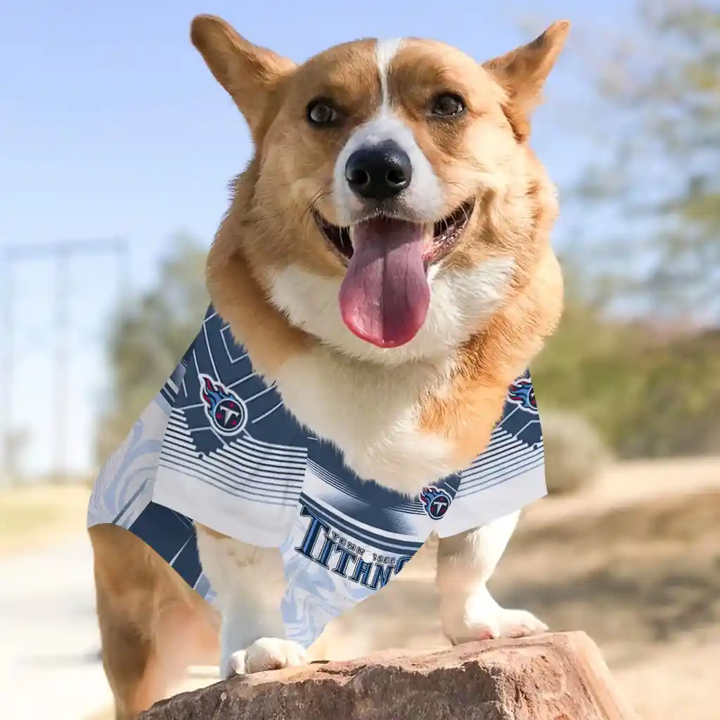 customized-tennessee-titans-hexagon-burst-navy-white-pet-jersey-top-rated.webp
