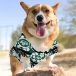 new-york-jets-palm-retro-green-black-pet-jersey-best-selling.webp