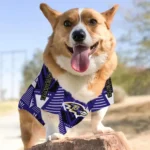 personalized-baltimore-ravens-arrowhead-layers-purple-pet-jersey-best-selling.webp