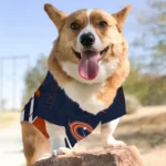 personalized-chicago-bears-armor-lines-blue-pet-jersey-best-selling.webp