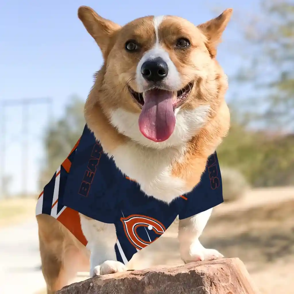 personalized-chicago-bears-armor-lines-blue-pet-jersey-top-rated.webp