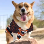 personalized-chicago-bears-bolt-rows-blue-white-pet-jersey-best-selling.webp