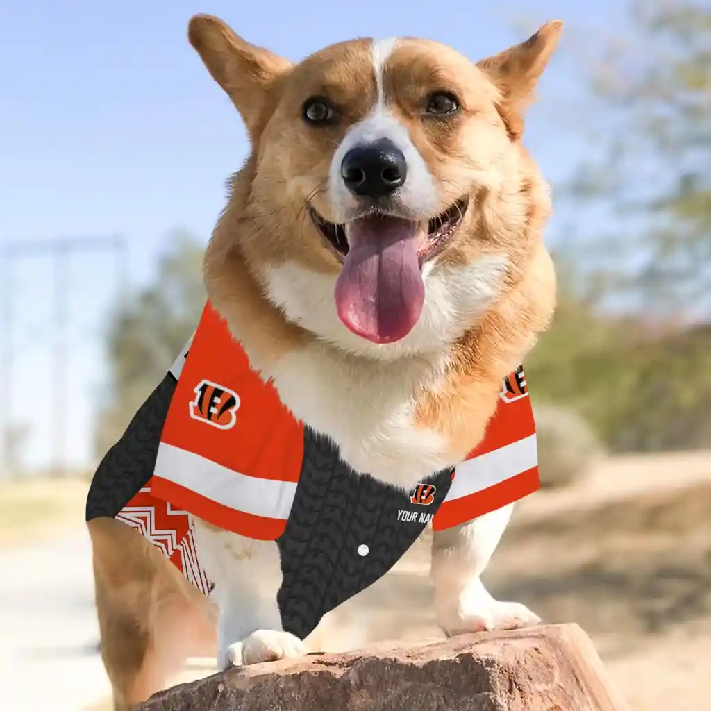 personalized-cincinnati-bengals-chevron-zigzag-orange-black-pet-jersey-top-rated.webp