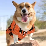 personalized-cincinnati-bengals-contrast-layers-orange-pet-jersey-best-selling.webp