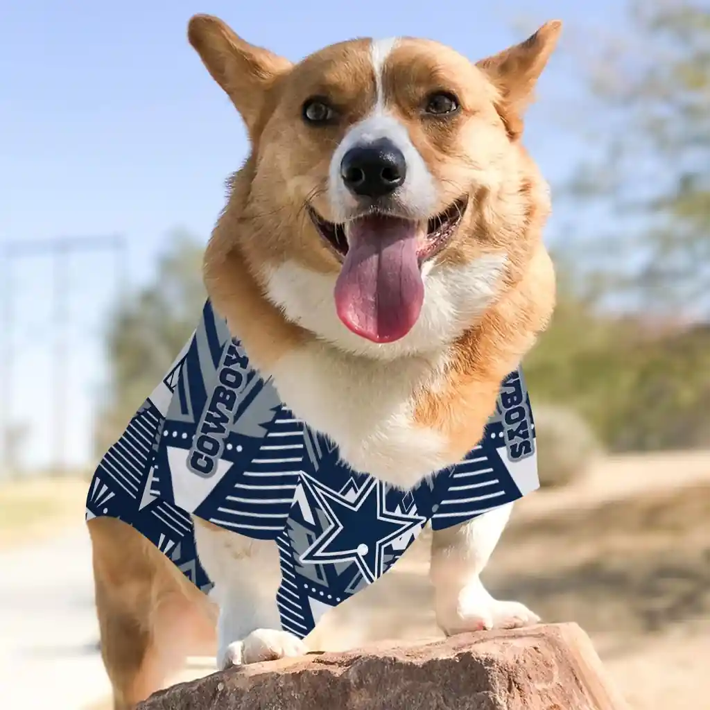 personalized-dallas-cowboys-arrowhead-layers-blue-pet-jersey-top-rated.webp
