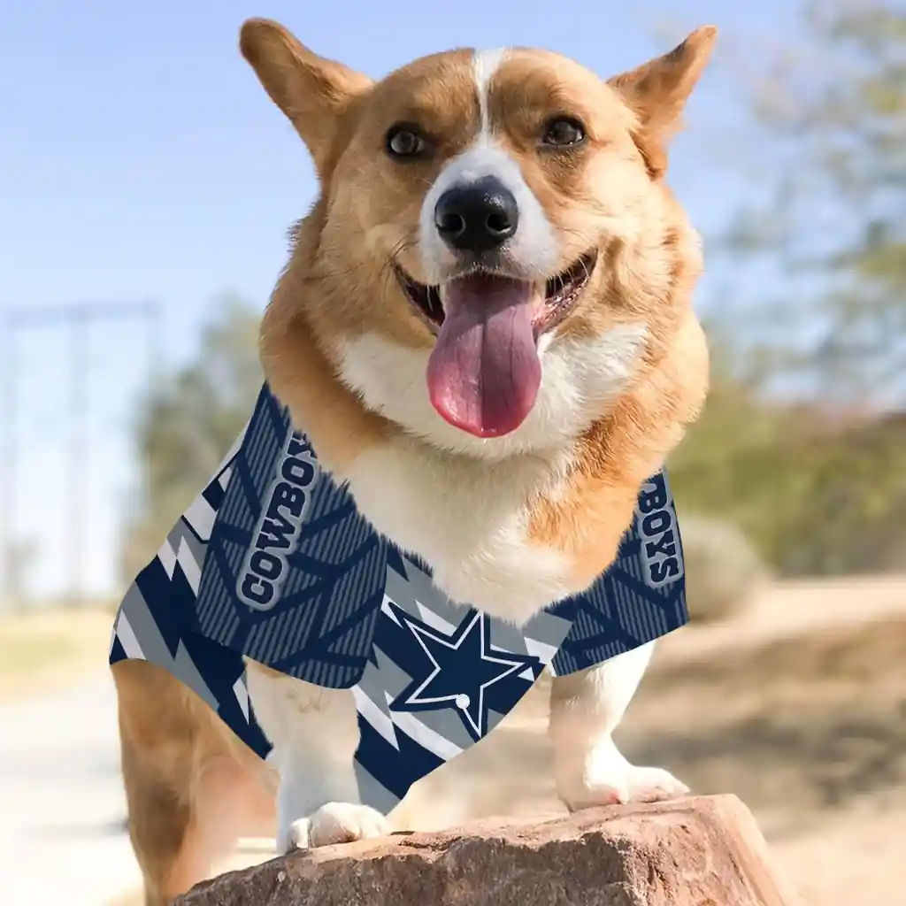 personalized-dallas-cowboys-bolt-rows-blue-white-pet-jersey-top-rated.webp
