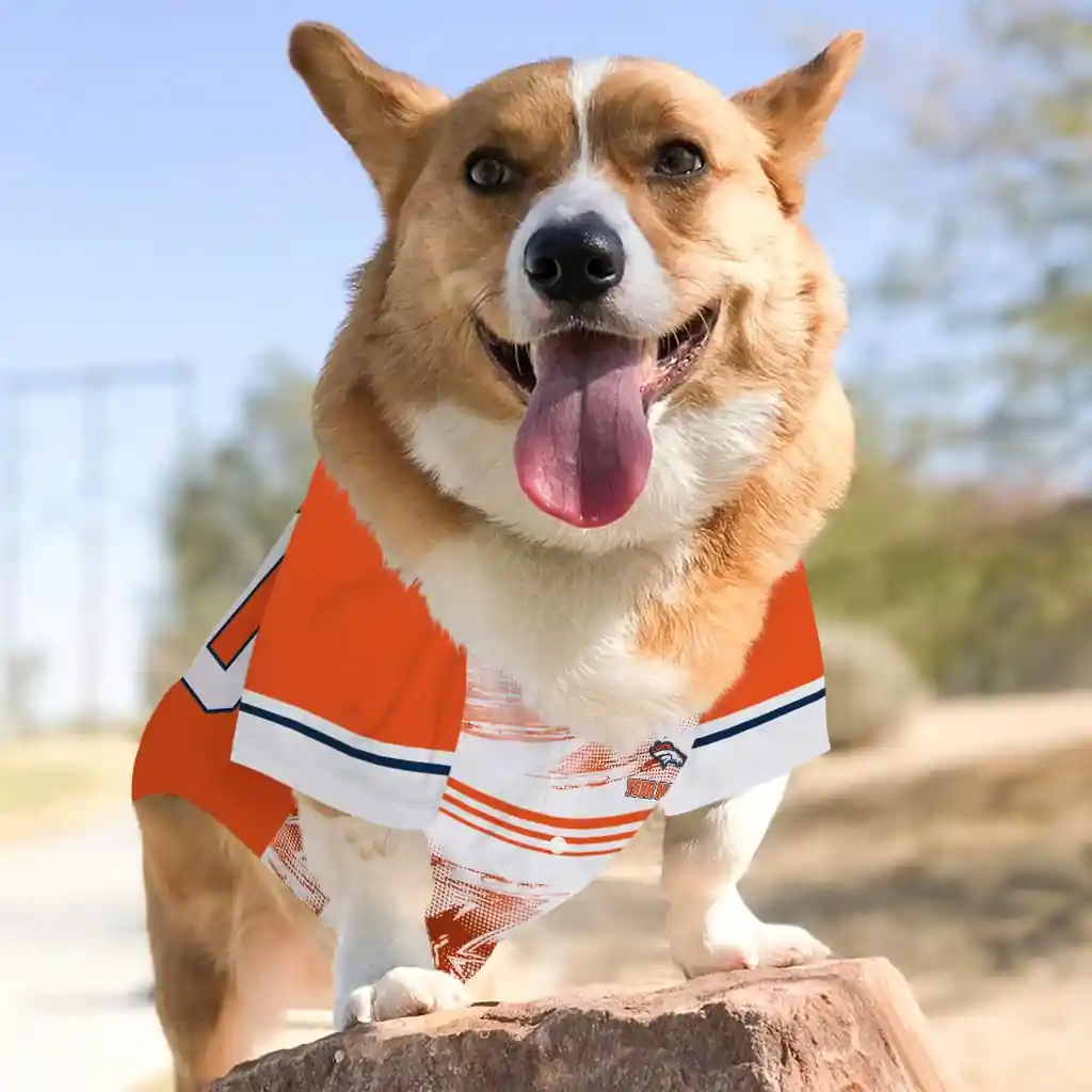 personalized-denver-broncos-big-diamond-stripe-orange-white-pet-jersey-top-rated.webp