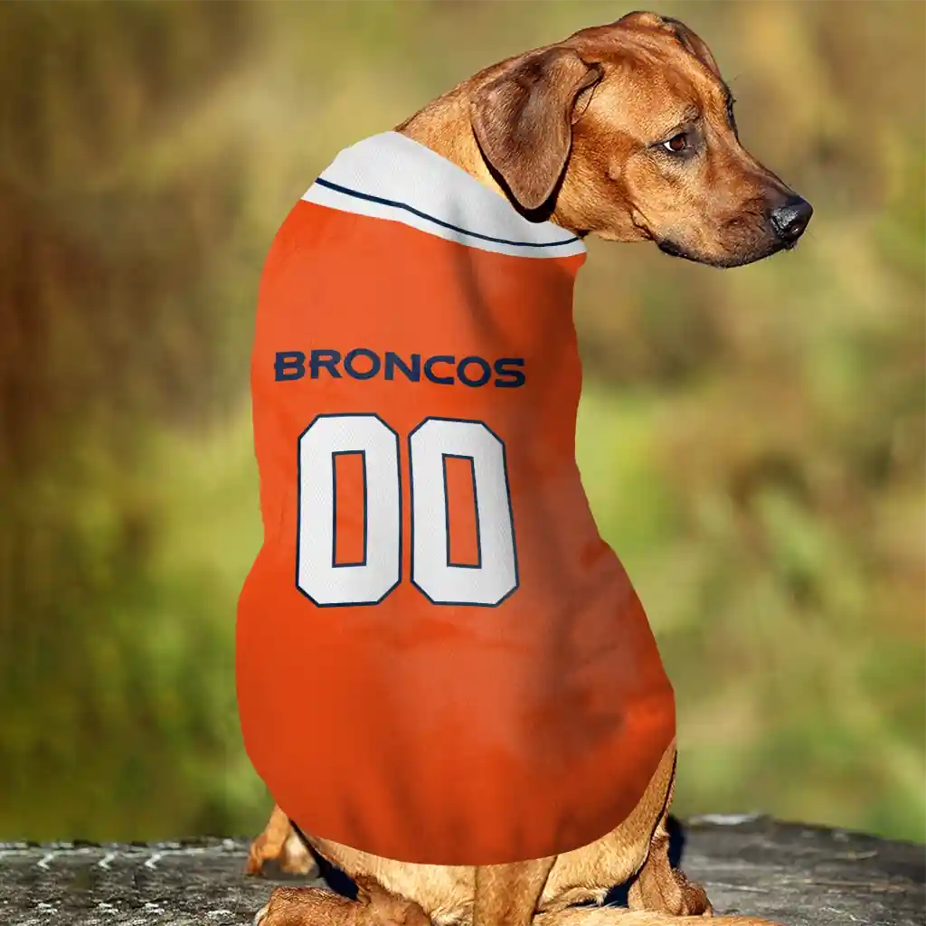 personalized-denver-broncos-big-diamond-stripe-orange-white-pet-jersey-trendy.webp