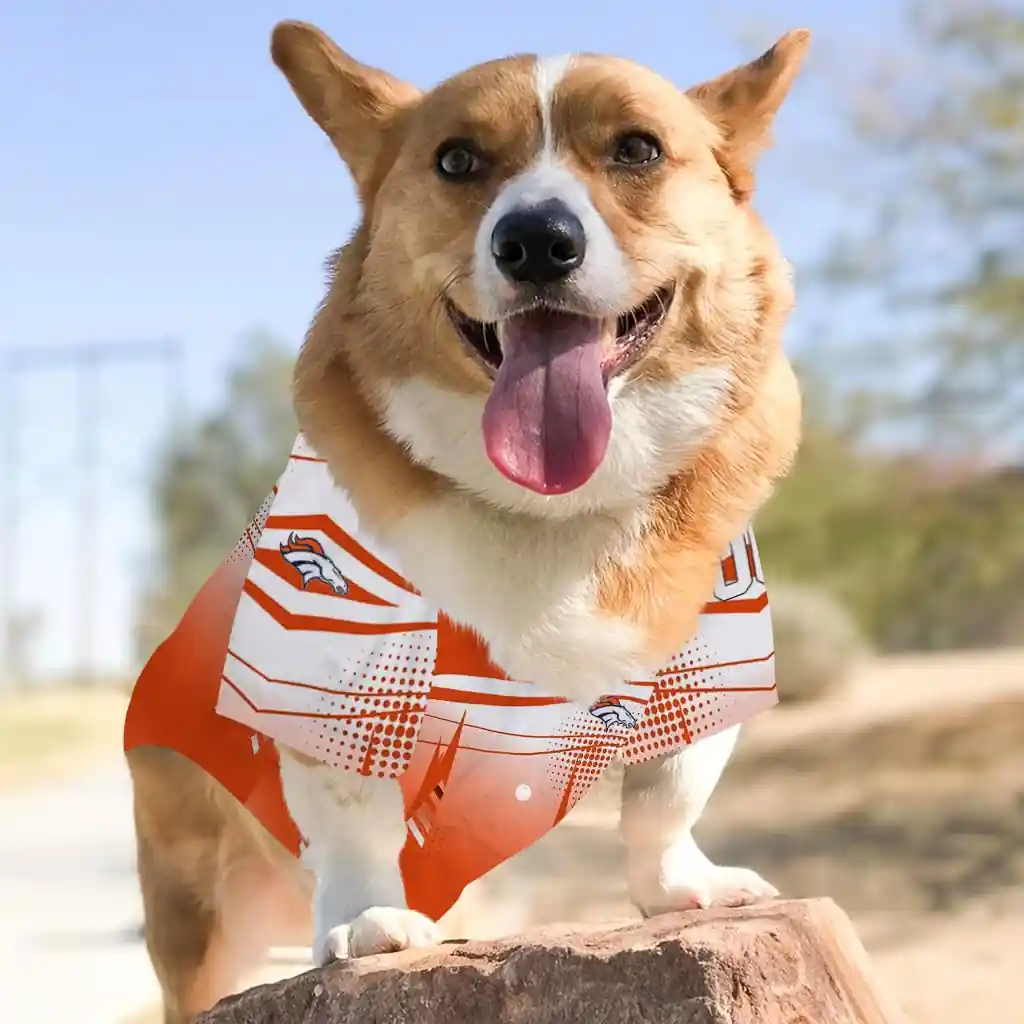 personalized-denver-broncos-geometric-burst-orange-white-pet-jersey-top-rated.webp