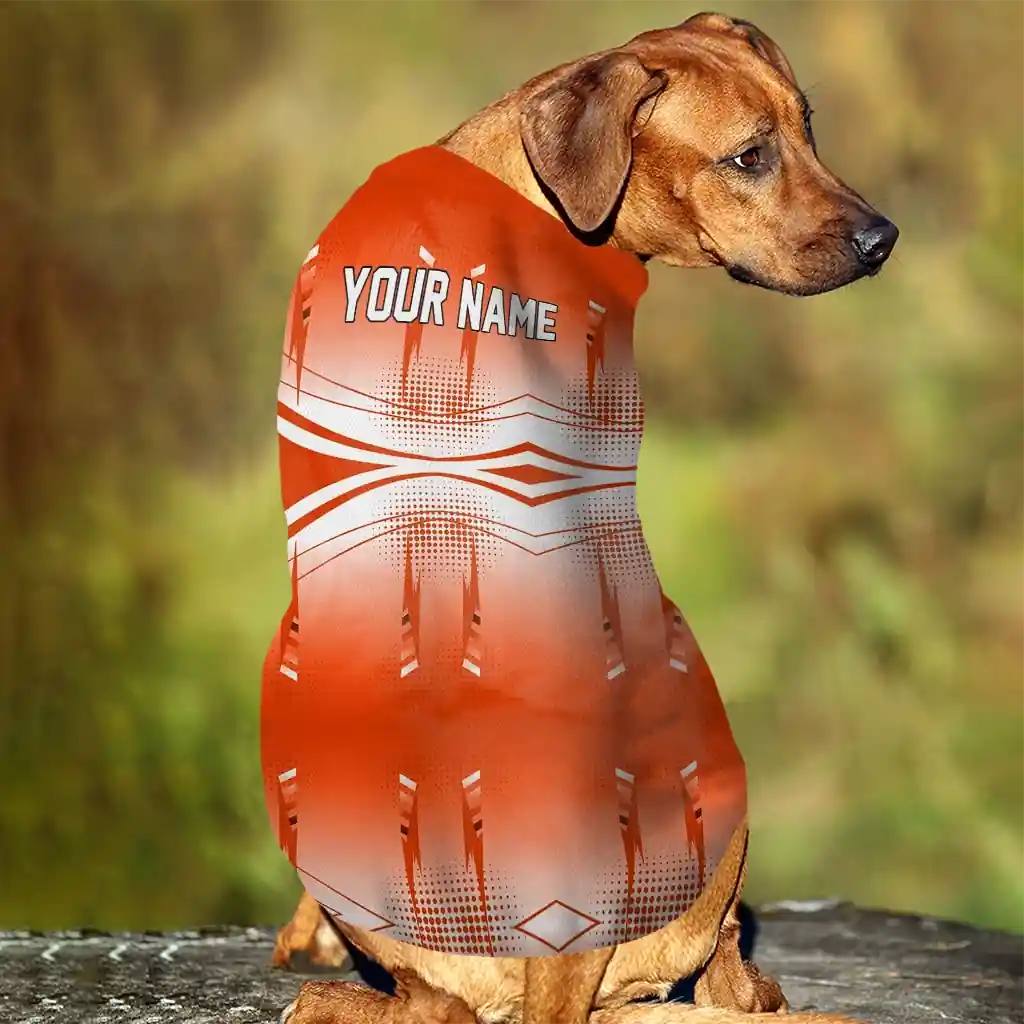 personalized-denver-broncos-geometric-burst-orange-white-pet-jersey-trendy.webp