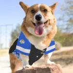 personalized-los-angeles-rams-chevron-zigzag-blue-black-pet-jersey-best-selling.webp