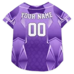 Custom Minnesota Football Style Dog Jersey - Striped Collar Purple