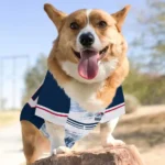 personalized-new-england-patriots-big-diamond-stripe-blue-white-pet-jersey-best-selling.webp