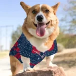 personalized-new-england-patriots-contrast-layers-blue-pet-jersey-best-selling.webp